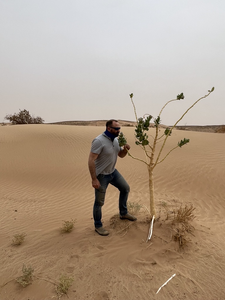 Elias Raiser in der Sahara an einem Baum
